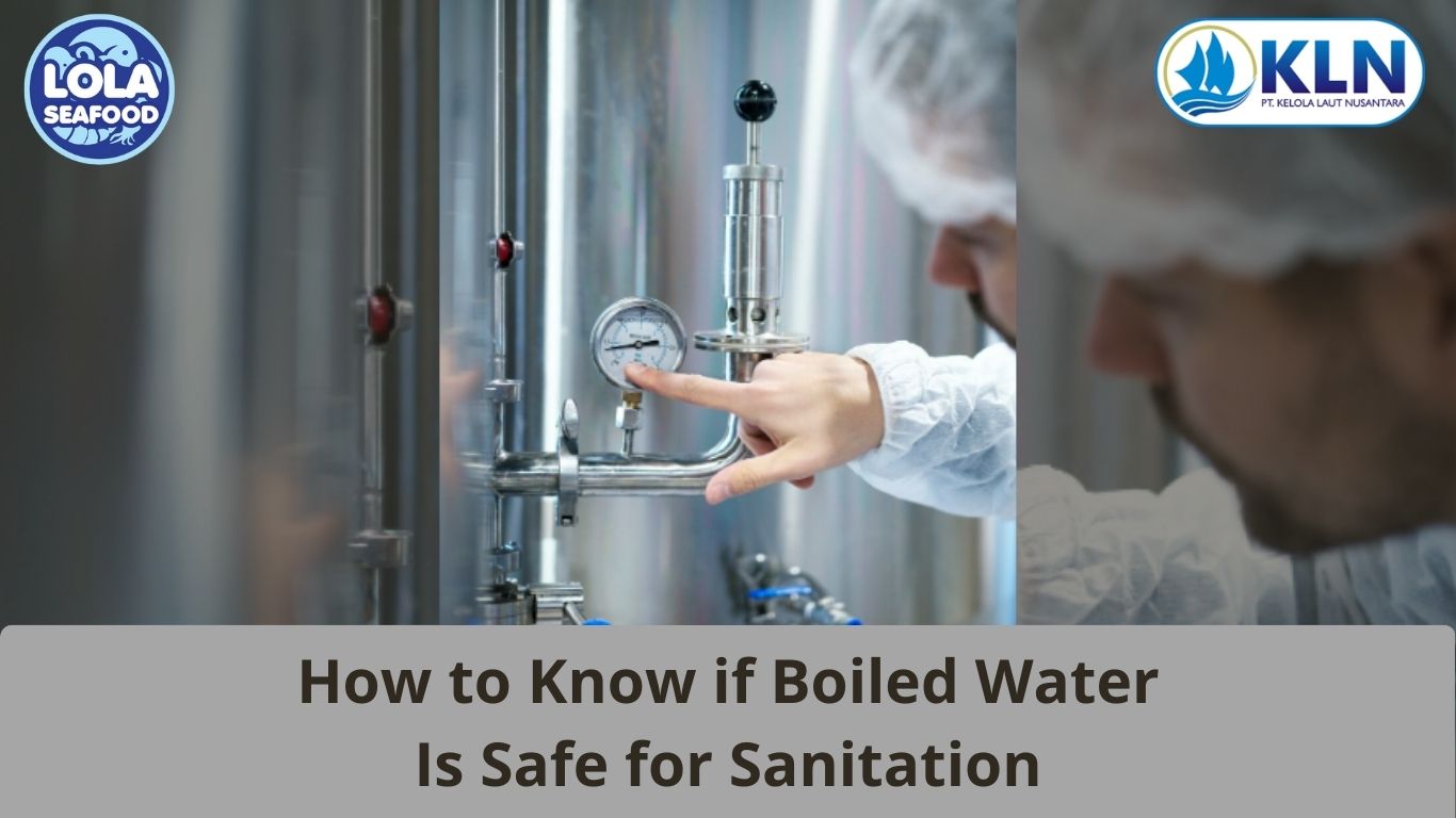 How to Know if Boiled Water Is Safe for Sanitation